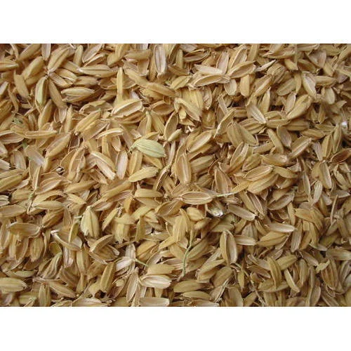 Rice Husk
